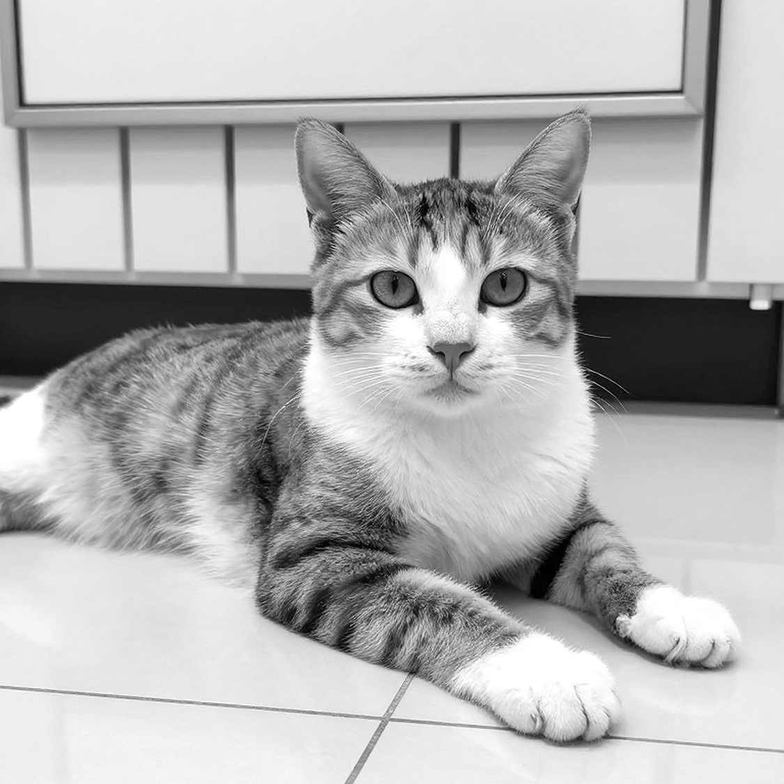 Chuyên gia VAR Lý Sơn: Bản phân tích rỗng là liều thuốc thử cho nền thể thao Việt